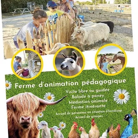 別荘 Le Sallertaine