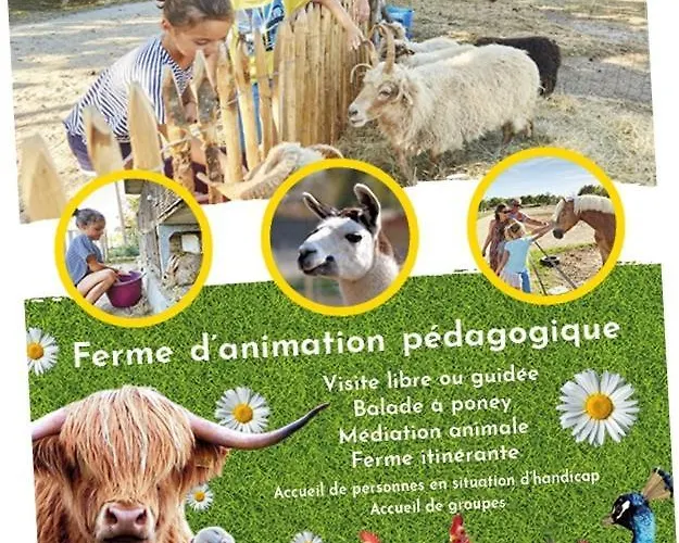 Vakantiehuis Le Sallertaine