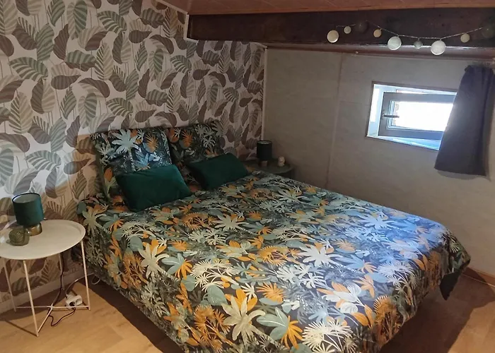 Vakantiehuis Le Sallertaine